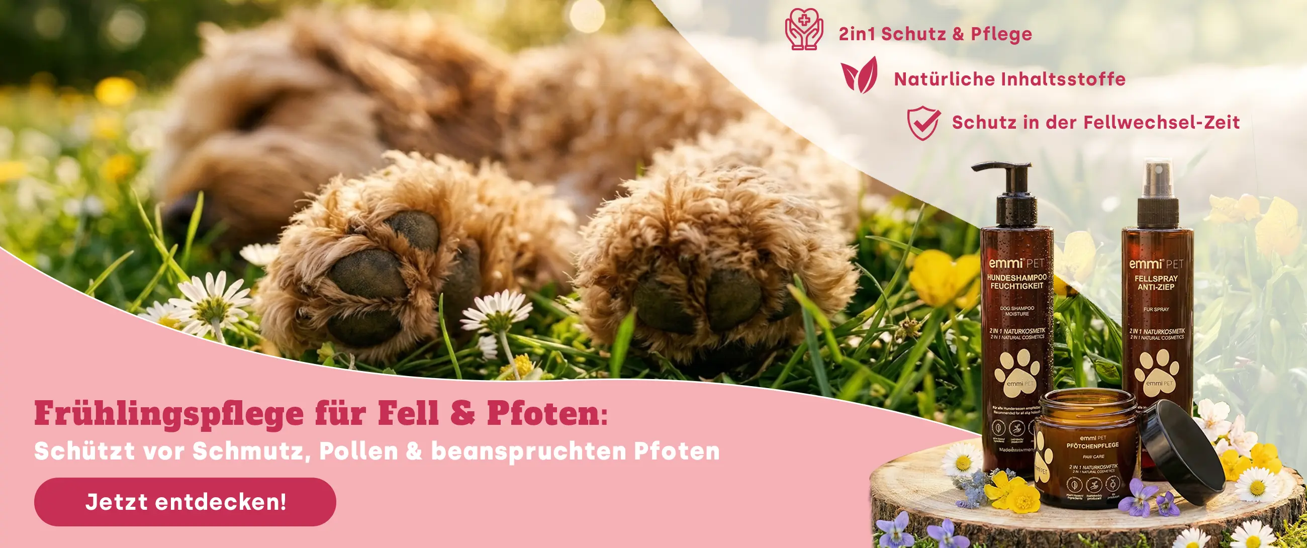 Revolutionäre Zahnpflege für Ihre Vierbeiner